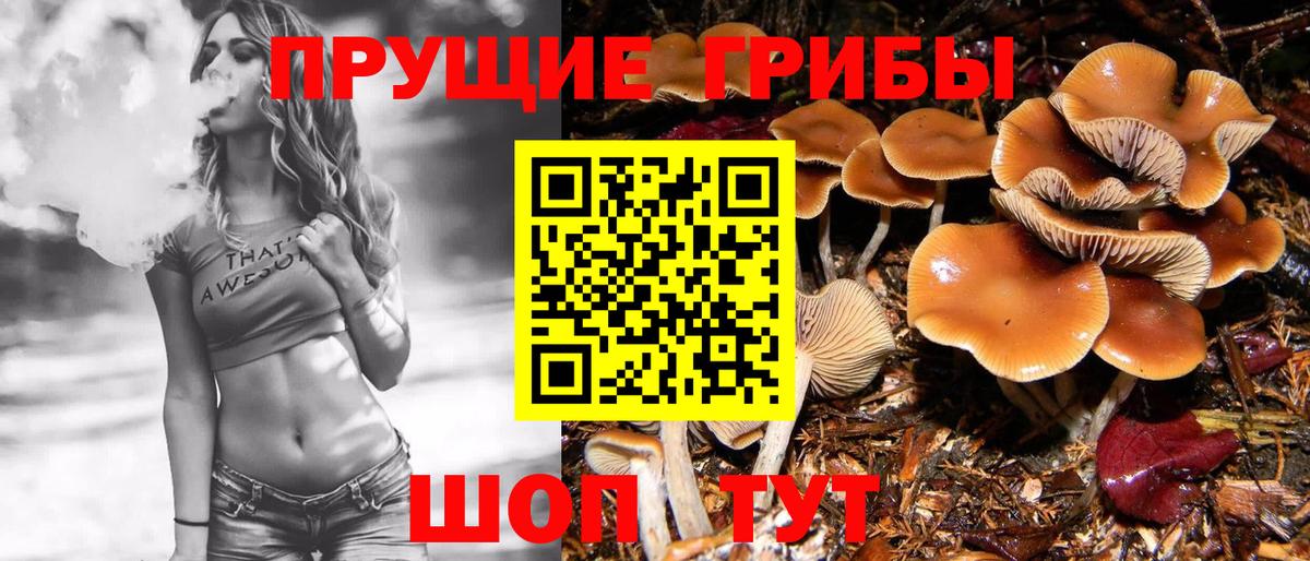 Псилоцибиновые грибы ЛСД  где купить   Мценск  Вход с VPN 